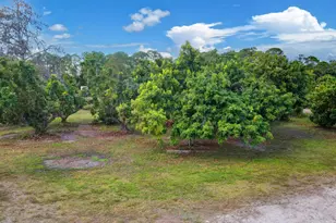 3446 Cabbage Palm Way, Loxahatchee, FL 33470 - Photo 44