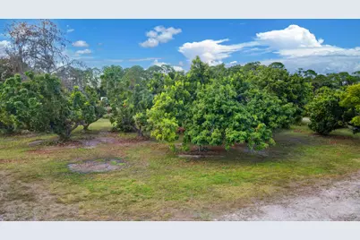 3446 Cabbage Palm Way, Loxahatchee, FL 33470 - Photo 44