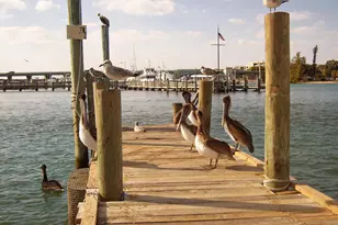 5310 N Ocean Dr, West Palm Beach, FL 33404 - Photo 88