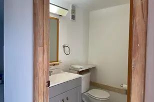 225 Bonnie Blvd, Palm Springs, FL 33461 - Photo 34