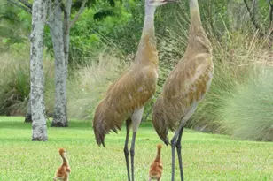 7715 Maywood Crest Dr, Palm Beach Gardens, FL 33412 - Photo 48