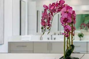 2285 Delray Rdg Ln, Delray Beach, FL 33444 - Photo 94