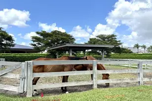 3585 Aiken Ct, Wellington, FL 33414 - Photo 8