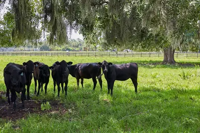 [Address not provided], Okeechobee, FL 34974 - Photo 14