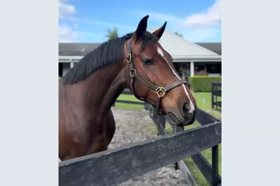 13205 Southfields Road, Wellington, FL 33414 - Photo 14