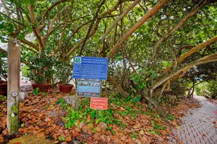 911 Ocean Dr, Juno Beach, FL 33408 - Photo 64