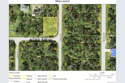 145 Bishop Street, Port Charlotte, FL 33954 - Photo 2