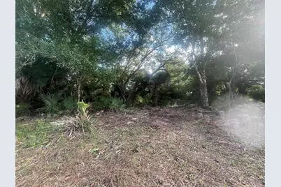 17774 NW 254th Street, Okeechobee, FL 34972 - Photo 6
