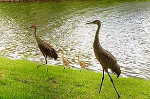 9851 Perfect Dr, Port Saint Lucie, FL 34986 - Photo 52