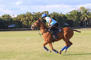 Tbd 125th Ave S, Wellington, FL 33414 - Photo 24