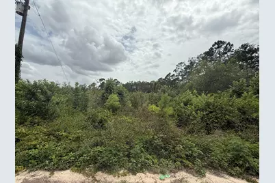 129 Fishermans Drive, Interlachen, FL 32148 - Photo 4