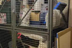 1200 Scotia Dr, Hypoluxo, FL 33462 - Photo 70