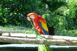 1160 Sugar Sands Blvd, Singer Island, FL 33404 - Photo 32