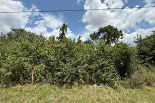 Tbd Snug St, North Port, FL 34286 - Photo 1