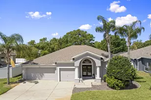 4205 Mast Ct, Land O Lakes, FL 34639 - Photo 1