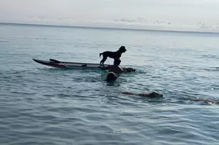 1605 S US Hwy 1, Jupiter, FL 33477 - Photo 28