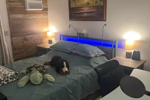 132 Berkshire F, West Palm Beach, FL 33417 - Photo 6