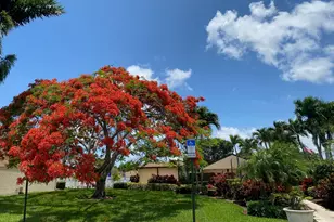 806 Sky Pine Way, Greenacres, FL 33415 - Photo 20