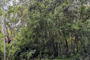 8970 N Joann Dr, Citrus Springs, FL 34434 - Photo 1