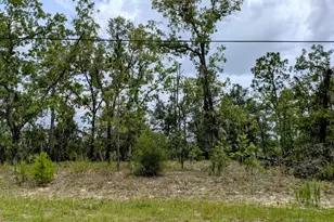 2450 W Rutland Dr, Citrus Springs, FL 34434 - Photo 1