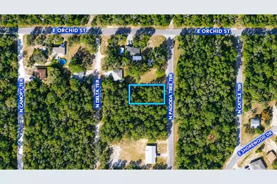 6634 N Pagoda Tree Terrace, Hernando, FL 34442 - Photo 1