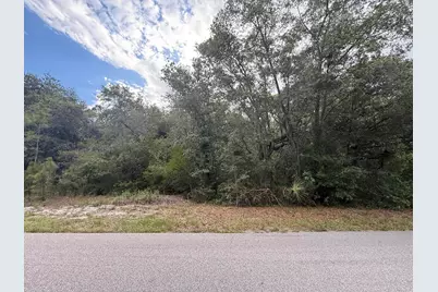 1012 Wildflower Street, Lake Placid, FL 33852 - Photo 1