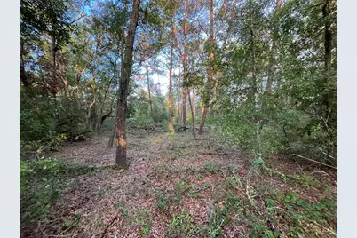 Tbd Twin Lakes Road, Interlachen, FL 32148 - Photo 4