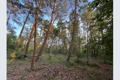 Tbd Twin Lakes Road, Interlachen, FL 32148 - Photo 8