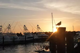 184 Lake Dr, Riviera Beach, FL 33404 - Photo 20