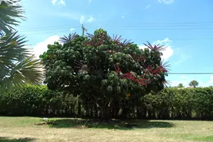 219 Normandy E, Delray Beach, FL 33484 - Photo 22