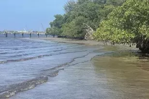 18200 49th Terrace N, Jupiter, FL 33458 - Photo 28