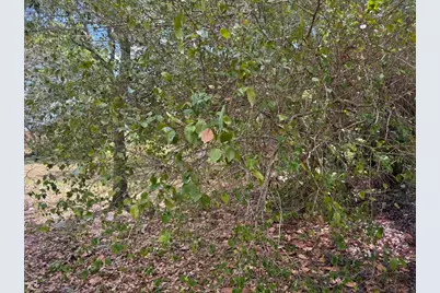 3358 S Jog Road, Greenacres, FL 33467 - Photo 22