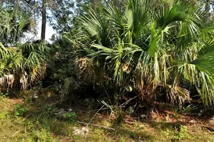 Tbd Abbington St, North Port, FL 34286 - Photo 1