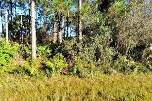0 Rosa Ave, North Port, FL 34286 - Photo 1