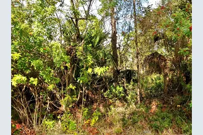 0 Haffenberg Ave Avenue, North Port, FL 34288 - Photo 1