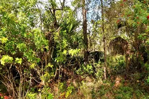 0 Haffenberg Ave Ave, North Port, FL 34288 - Photo 1