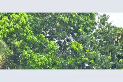 147 NE Naranja Avenue, Port Saint Lucie, FL 34983 - Photo 52