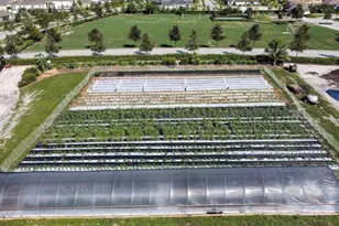 19077 Fly Rod Run, The Acreage, FL 33470 - Photo 86