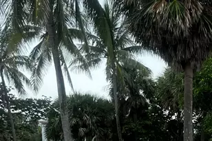 170 Celestial Way, Juno Beach, FL 33408 - Photo 38