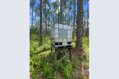 418 Gaillardia Drive, Lake Wales, FL  - Photo 6