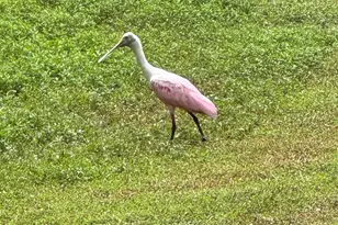 3422 SE Fairway W, Stuart, FL 34997 - Photo 90