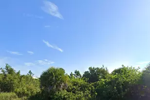 13366 Ingraham Blvd, Port Charlotte, FL 33981 - Photo 1