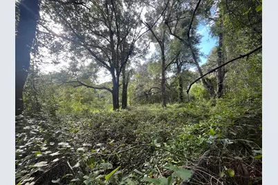 305 Milton Avenue, Interlachen, FL 32148 - Photo 2