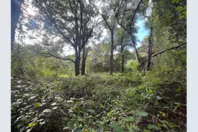 305 Milton Avenue, Interlachen, FL 32148 - Photo 4