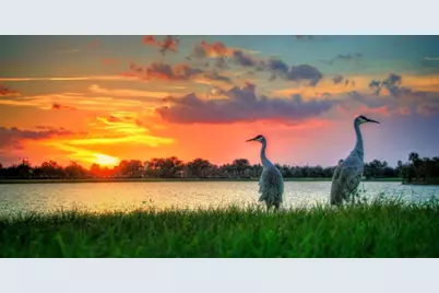 1094 SW Gatlin Boulevard, Port Saint Lucie, FL 34953 - Photo 24