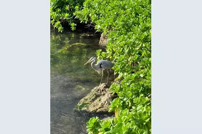 100 Ventnor E, Deerfield Beach, FL 33442 - Photo 12