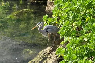 100 Ventnor E, Deerfield Beach, FL 33442 - Photo 12