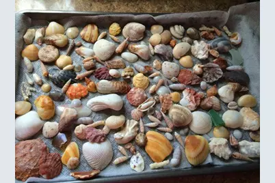 340 Horizons W #203, Boynton Beach, FL 33435 - Photo 44