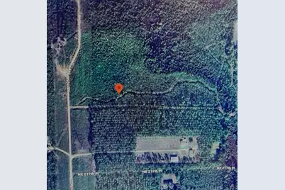 0000 NE 125th Ave, Fort Mc Coy, FL 32134 - Photo 8