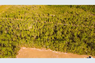 0000 NE 125th Ave, Fort Mc Coy, FL 32134 - Photo 1